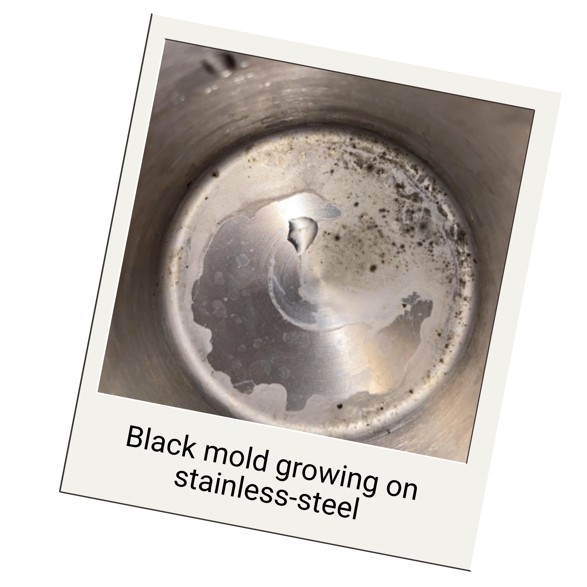 Black mold growing inside a stainless-steel tumbler