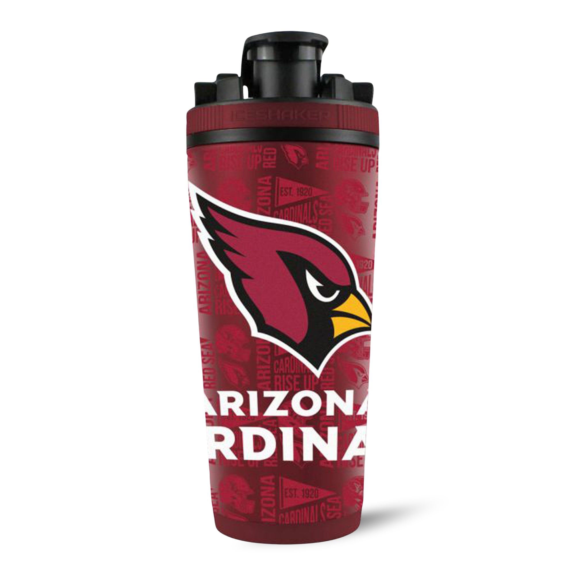 Officially Licensed NFL 4D 26oz Ice Shakers