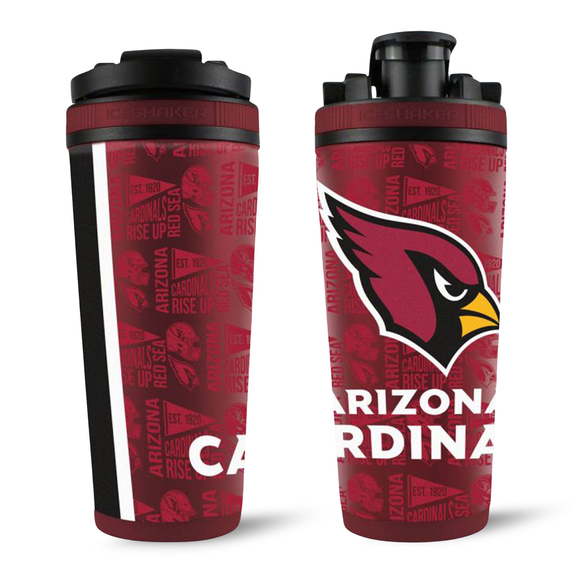 Officially Licensed NFL 4D 26oz Ice Shakers