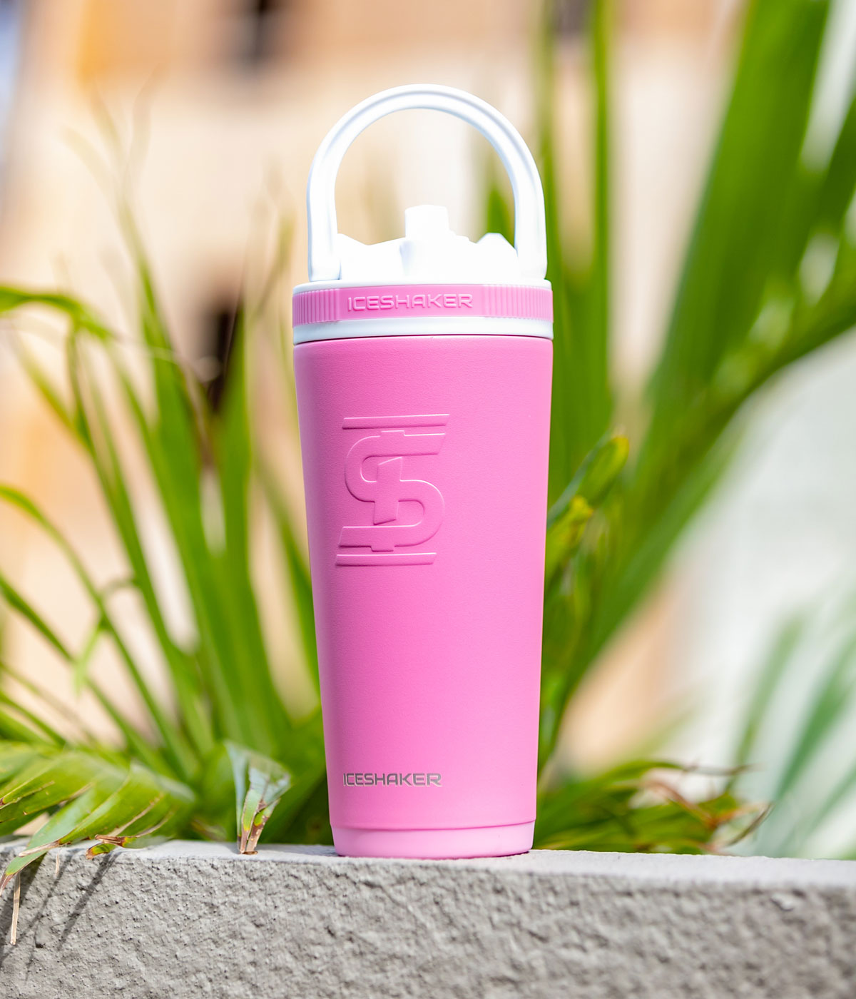 An image of a pink-colored 26oz Sport Bottle sitting on concrete. There is green plants in the background.