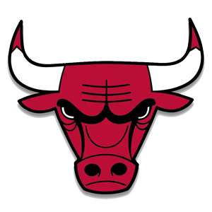 NBA Chicago Bulls team logo