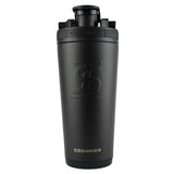 Water is Life 26oz Ice Shaker