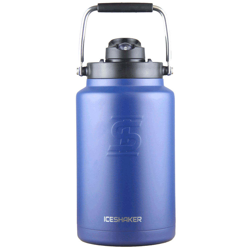 The Best 1-Gallon Water Bottles of 2024 (Plastic & Insulated Steel)